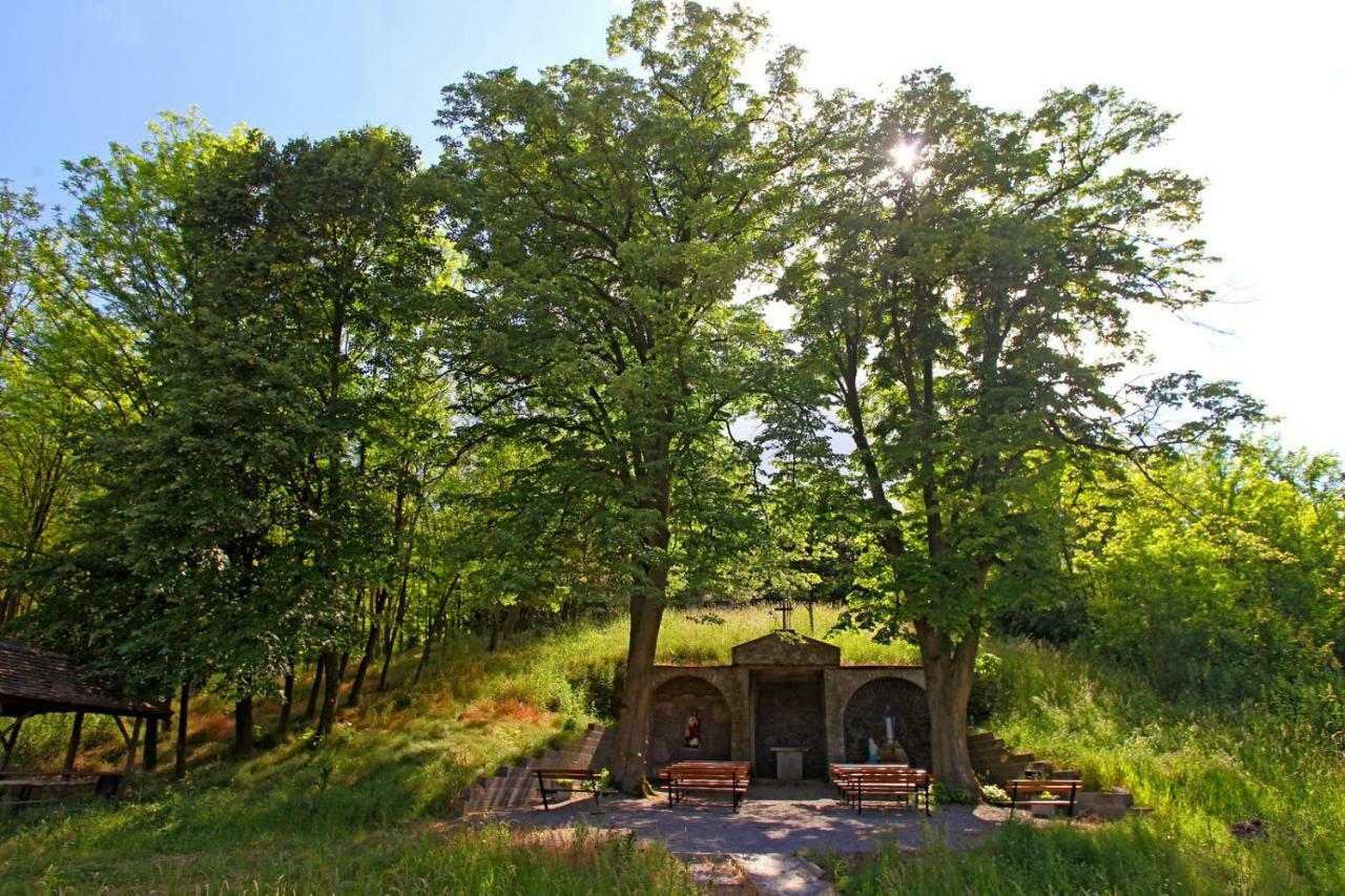 Villa Mons Aureus Popovac Exterior foto